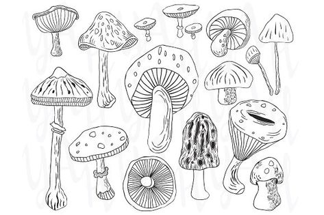 Hand Draw Mushroom Set Recipe Menu, Drawn Food, Mushroom Clipart, Food Drawings, Mushroom Drawing, Edible Mushrooms, Hand Draw, Mushroom Art, Elements Of Art