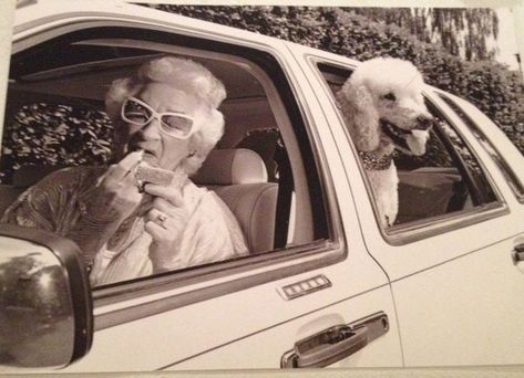 Say Cheese! 18 Awkwardly Funny Family Photos 17 Fun Snaps, Cheese Funny, Funny Poodle, Funny Family Photos, Bulldog Breeds, Martin Parr, Vintage Poodle, Standard Poodles, Miniature Poodle