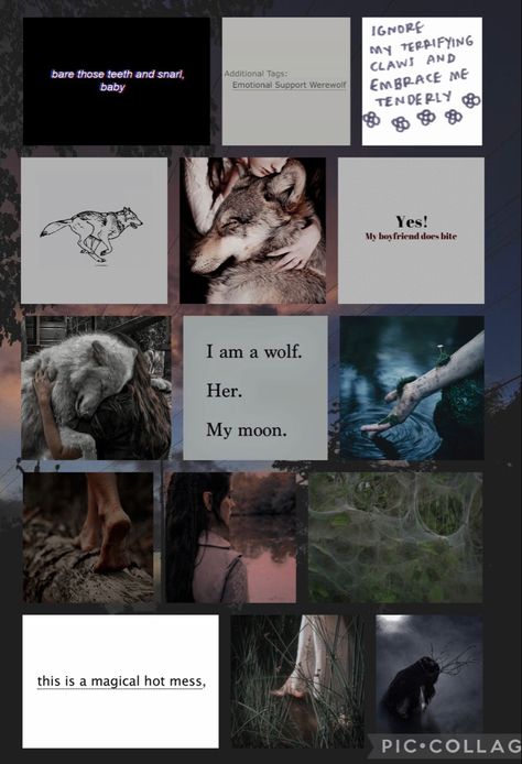 She Wolf Aesthetic, Werewolf Aesthetic Female, Werewolf Girl, Werewolf Aesthetic, Wolf Spirit Animal, Stylist Tattoos, Wolf Spirit, Beautiful Wolves, Mood Board Inspiration