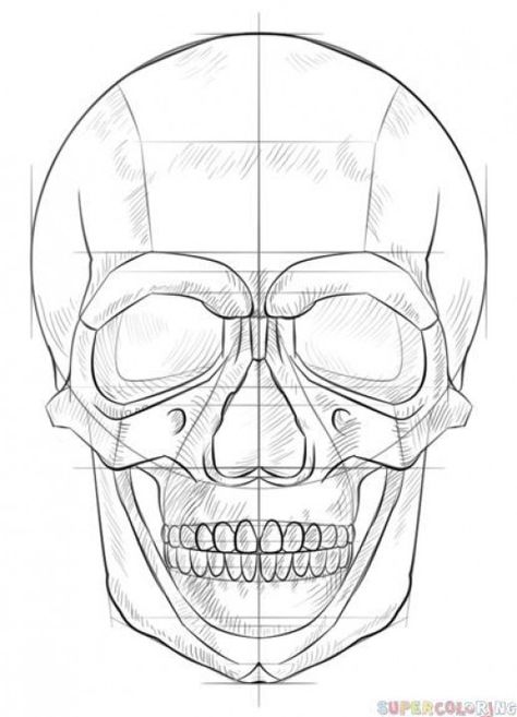 Human Skull Drawing, 3d Drawing Tutorial, Skull Drawings, Drawing Videos For Kids, Air Spray, Skull Stencil, Skull Sketch, Homemade Bows, Door Art