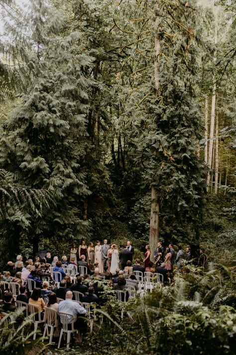 Wedding Pine Trees, Oregon Woods Wedding, Hornings Hideout Wedding, Oregon Forest Wedding, Photography Rainy Day, Oregon Beach Wedding, Pine Tree Wedding, Tree Wedding Ceremony, Woodland Wedding Ceremony