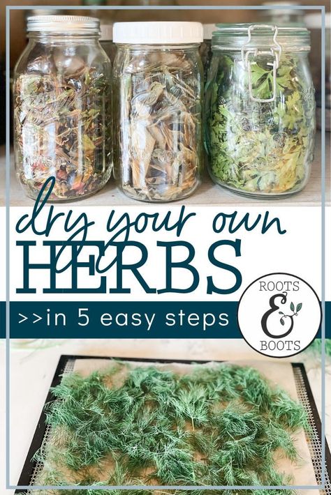 Learning how to dry your own herbs in a dehydrator is SO simple and your future self will be thrilled to use those home dried (and maybe even homegrown) herbs. Home dried herbs retain better flavor and nutritional value as compared with the lifeless herbs available at the grocery store. They also look beautiful stored in mason jars in your kitchen. And imagine the satisfaction you’ll feel as you add your own home dried herbs to your cooking! Dehydrate Herbs In Dehydrator, Dried Herbs In Jars, Dehydrator Herbs, Dehydrate Herbs, Dehydrated Herbs, Homegrown Herbs, Dehydrating Food Storage, Drying Fresh Herbs, Food Dehydration