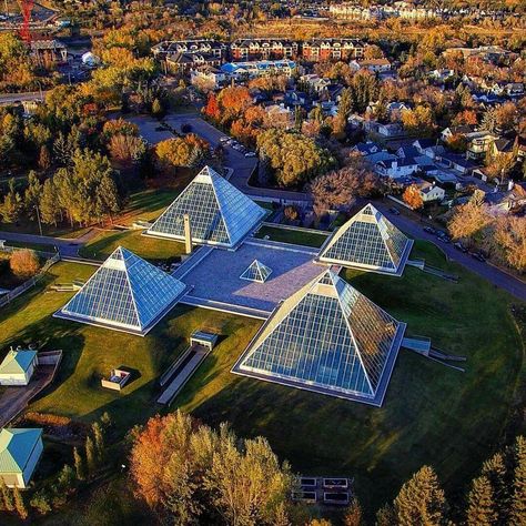 Beautiful view of the Muttart conservatory! #vacationcanadaEdmonton Muttart Conservatory, Canada Ottawa, Canada Eh, My Hood, Garden Greenhouse, Edmonton Alberta, My Town, Beautiful View, Alberta Canada