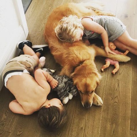 Napping Together, Be Smile, Dog Family Pictures, Photos Of Dogs, Dog Pregnancy Announcement, Dogs And Babies, Photos With Dog, Baby Nap, Golden Puppy