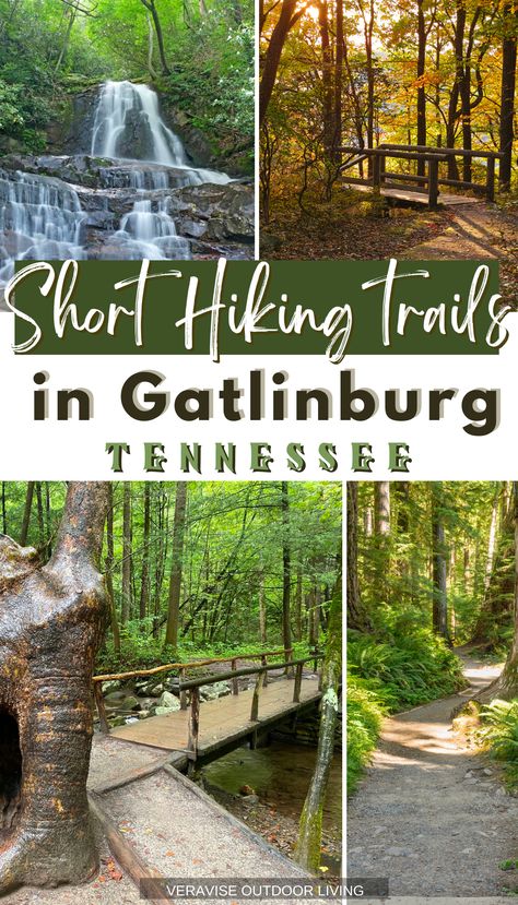 Hiking Trails In Gatlinburg Tn, Waterfalls In Gatlinburg Tn, What To Pack For Gatlinburg Tn, Hiking Gatlinburg Tennessee, Gatlinburg Tennessee Hiking, Hikes In Gatlinburg Tn, Free Things To Do In Gatlinburg Tn, Gatlinburg Hikes, Gatlinburg Tennessee Things To Do In