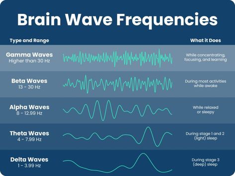 Alpha waves induce feelings of tranquility, enhance creativity, and improve the capacity to assimilate new information. There are additional methods to prolong your ability to remain in an alpha state besides meditating and practicing mindfulness, which are among the most obvious. What is a pattern of alpha waves? Alpha brain waves are the predominant brain … The Alpha Wave Pattern Read More » The post The Alpha Wave Pattern appeared first on Hidden Numerology. Alpha Waves, Stages Of Sleep, Sleep Studies, Feeling Sleepy, Binaural Beats, States Of Consciousness, Neurological Disorders, The Alpha, Brain Activities