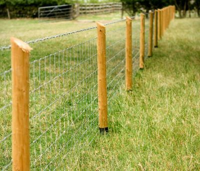 Stock Fencing, Backyard Fencing, Short Fence, Fence Outdoor, Fence Stain, Deer Fence, Horse Fencing, Cheap Fence, Backyard Fence