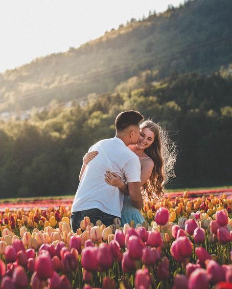 Tulip Engagement Photoshoot Tulip Photoshoot, Texas Tulips, Spring Picture Ideas, Photoshoot Field, Farm Photoshoot, Farm Engagement Photos, Photoshoot Reference, Field Engagement Photos, Amsterdam Photos