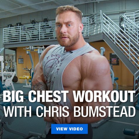 Chris Bumstead takes us through one of his favorite off-season chest workouts that he does to build a thicker dense chest. Give it a shot for yourself! #bodybuilding #fitness #gym #workout #muscles Big Chest Workout, Full Chest Workout, Nutrition Videos, Workout Chest, Chris Bumstead, Chest Workout For Men, Muscle Guys, Joe Weider, Muscle Imbalance