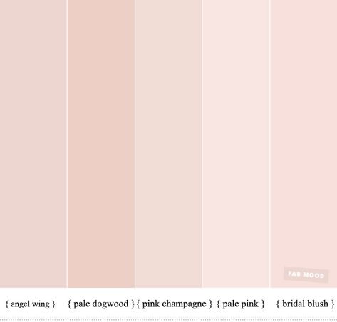 Neutral wedding color for a minimalist wedding theme - wedding color ideas , blush hues , neutral wedding ideas #colors #weddingcolors Neutral Wedding Ideas, Minimalist Wedding Theme, Champagne Color Palette, Wedding Sydney, Mood Wedding, Fab Mood, Pallet Color, Champagne Wedding Colors, Wedding Color Pallet