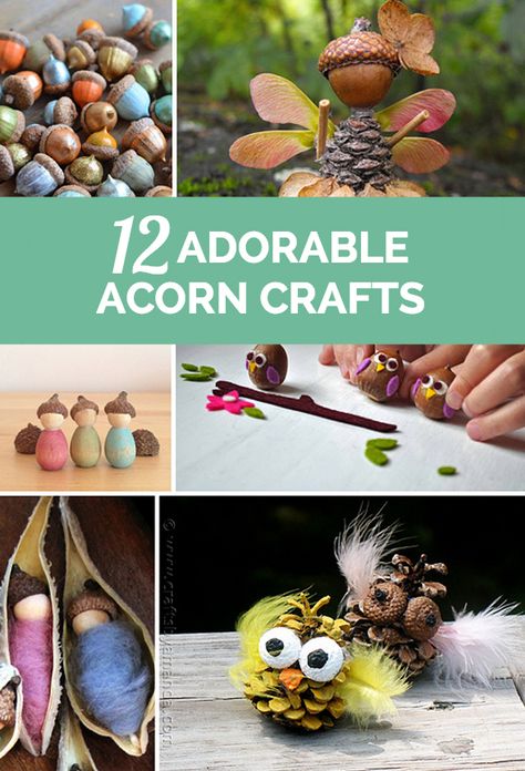 12 Adorable Acorn Crafts for Kids Fall Crafting, Acorn Crafts, Creative Kids Crafts, Pine Cone Crafts, Fall Crafts For Kids, Autumn Crafts, Crafts For Kids To Make, Seasonal Crafts, Upcycled Crafts