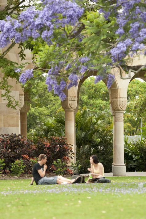 Jacaranda flowers  Two students sitting on the grass in the Great Court, with Jacarandas and sandstone backdrop  Copyright 2013 The University of Queensland, all rights reserved University Of Queensland Aesthetic, 2024 Energy, University Of Queensland, Gap Year, University Student, 2024 Vision, The Grass, Queensland, All Rights Reserved