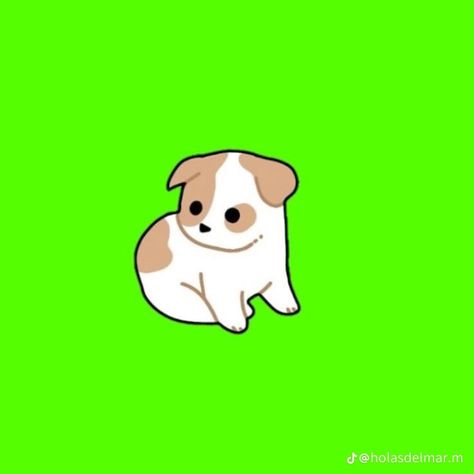 Gacha Dog Green Screen, Gacha Club Green Screen Props, Anime Puppy, Free Green Screen, Green Background Video, Body Drawing Tutorial, Dragon Puppet, Green Screen Video Backgrounds, Baby Props