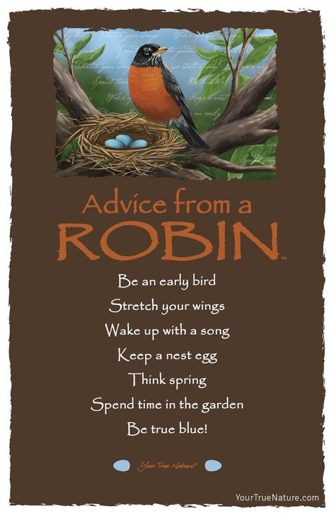 Animal Meanings, Spirit Animal Totem, Think Spring, Bird Quotes, Animal Spirit Guides, A Robin, Animal Spirit, Animal Symbolism, Animal Totem