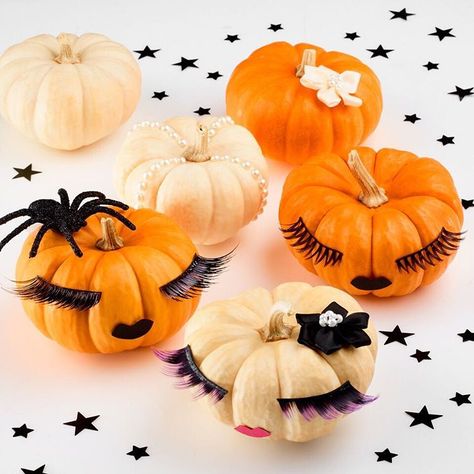 Decorating with pumpkins for Halloween & Thanksgiving #eyelashes #hairbows Fall Lashes, Lash Quotes, Lash Boost, Lash Room, Happy October, October 1st, Best Lashes, Rodan And Fields, Salon Decor