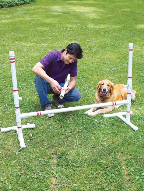 Diy Dog Agility Course, Dog Agility Diy, Dog Agility Course Diy, Dog Agility Course, Agility Training For Dogs, Dog Playground, Easiest Dogs To Train, Dog Enrichment, Agility Training