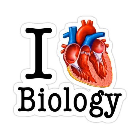 Decorate laptops, Hydro Flasks, cars and more with removable kiss-cut, vinyl decal stickers. Glossy, matte, and transparent options in various sizes. Super durable and water-resistant. I Love Biology with a cross-section of the heart Biology Stickers Printable, Biology Heart, Biology Stickers, Sticker Board, Biology Poster, Heart Doctor, Medical Stickers, Cup Stickers, Science Stickers