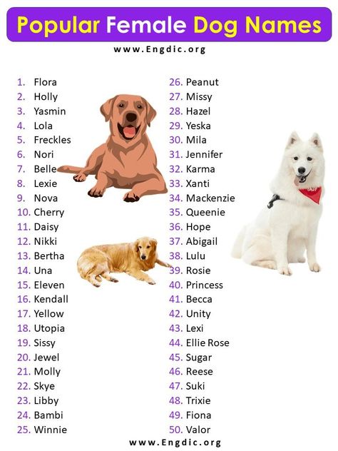 Female Dog Names Unique, Female Puppy Names, Dog Names Female, Popular Female Dog Names, Dogs Names List, Dog Names Unique, Girl Dog Names, Female Dog Names, Names List