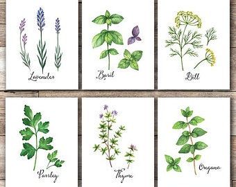 Classic Farmhouse Decor, Kitchen Pics, Herbs Wall, Botanical Kitchen, Sparrow Art, Herb Art, Herb Prints, Herb Wall, Kitchen Herbs