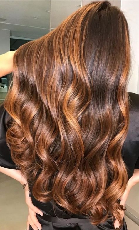 Caramel Highlights On Brown Hair, Hairstyles And Colors, Celebrities Hairstyles, Highlights On Brown Hair, Peinados Hair Styles, Brown Hair Looks, Hair Color Options, Hair Tint, Hair Color Caramel