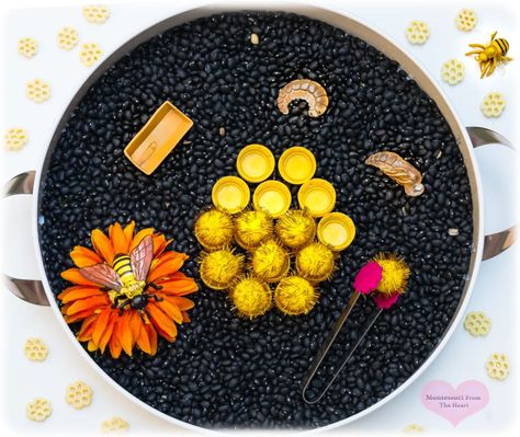 Bee Lifecycle Sensory Bin Bean Sensory Bin, Bee Lifecycle, Honey Bee Life Cycle, Feeding Bees, World Bee Day, Bee Life Cycle, Dried Black Beans, Bee Day, Invitation To Play