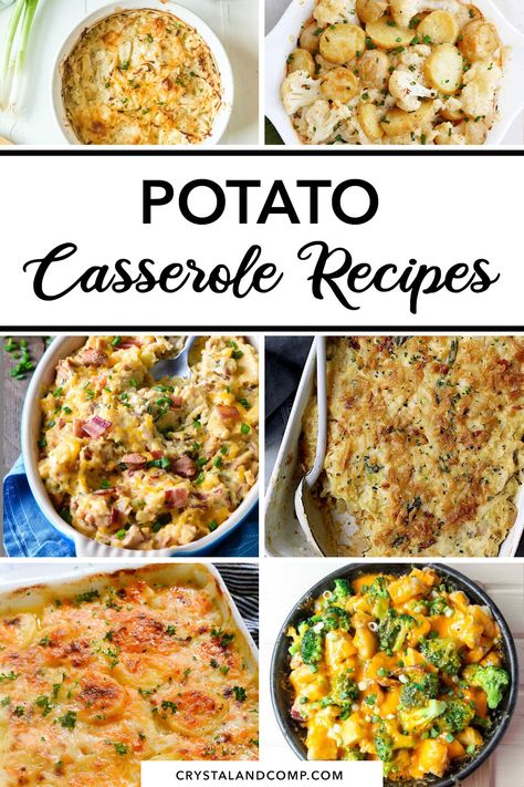 Potato Recipes Potluck, Potato Dishes That Freeze Well, Potato Main Dish Recipes, Easy Potato Casserole, Potato Casserole Recipes, Double Baked Potatoes, Potato Bake Recipe, Scalloped Potato Casserole, Potato Casseroles