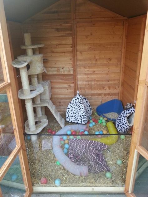 Shed for a ferret... Ferret Playground, Ferret Enclosure, Bunny Sheds, Ferret Diy, Rabbit Shed, Ferret Toys, Rabbit Enclosure, Rabbit Habitat, Ferret Cage