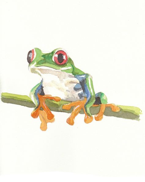 Watercolour Frog, Bookmarks Watercolor, Bible Verse Painting, Jungle Painting, Arte Grunge, Frog Drawing, Watercolor Paintings For Beginners, Kids Watercolor, Watercolour Paint