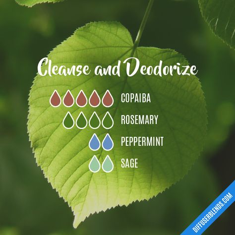 Blend Recipe: 5 drops Copaiba, 4 drops Rosemary, 2 drops Peppermint, 2 drops Sage Sage Diffuser Blends, Doterra Diffuser Blends, Essential Oil Diffuser Blends Recipes, Essential Oil Diffuser Recipes, Yl Essential Oils, Oil Diffuser Recipes, Essential Oil Mixes, Essential Oil Blends Recipes, Aromatherapy Blends