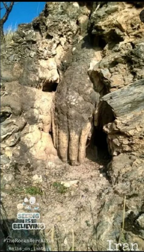 Nephilim Giants, Giant People, Ancient Discoveries, Mysteries Of The World, Matka Natura, Turn To Stone, Giant Tree, Image 3d, Rock Face