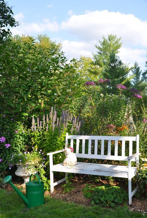 Bench In A Garden, Bench In Garden Landscapes, Garden With Bench, Easy Garden Ideas Landscaping, Garden Seat, Garden Benches, Boho Garden, Three Dogs, Meadow Rue