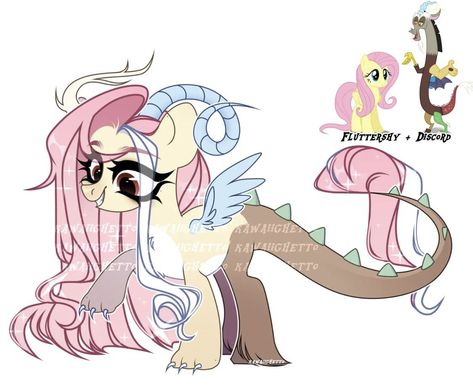 Mlp Fusions, Fluttershy Discord, Mlp Oc Ideas, Pony Ocs, Mlp Next Gen, Mlp Funny, Pony Creator, Pony Town Ideas, Pony Oc