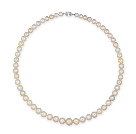 Diamond Necklace Tiffany, Tiffany Pearls, Tiffany And Co Jewelry, Pearls Jewelry, Pearl And Diamond Necklace, Harry Winston, Gemstone Jewellery, Natural Pearl, Akoya Pearls