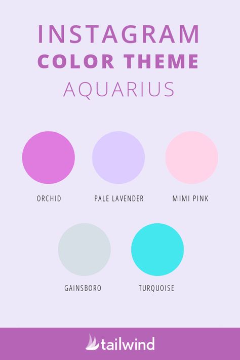 The Best Instagram Color Themes for Your Zodiac Sign | Social Media Marketing Tips and News Instagram Color Themes, Theme For Instagram, Scorpio Color, Zodiac Signs Colors, Instagram Feed Planner, Ideas For Instagram, Hex Color Palette, Color Palette Challenge, Zodiac Stones