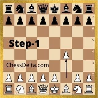 how to win chess in 2 moves Chess Moves To Win, Best Opening Chess Moves, How To Win Chess, Chess Endgame, Chess Basics, Poker Rules, Chess Tactics, Chess Moves, Learn Chess