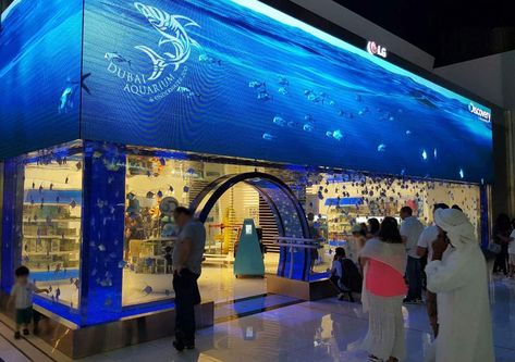 Dubai Mall Aquarium | Public Aquaria - News | MAT LSS Aquarium Cafe Interior Design, Dubai Mall Aquarium, Aquarium Art, Minecraft Base, Aquarium Store, Zoo Aquarium, The Dubai Mall, Public Aquarium, Sea Aquarium