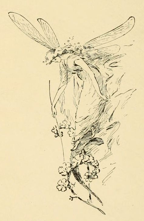 Old Fairy Drawings, Fairy Vintage Illustration, Old Japanese Art Tattoo, Vintage Fairy Drawing, Art Nouveau Fairy Tattoo, Ethereal Fairy Tattoo, Flower Fairy Illustration, Vintage Fairy Tattoo, 1800 Illustration