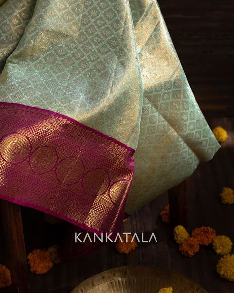 Green Kanchipuram Saree, Green Kanchipuram Silk Saree, Green Contrast Color, Saree Color Combinations, Silk Marvel, Pink Brocade, Latest Silk Sarees, Kanjivaram Sarees Silk, Saree Wearing Styles