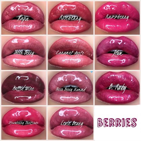 Get Plump Lips, Apple Puns, Christmas Lips, Berry Tones, Lip Sense, Fall Tones, Senegence Makeup, Senegence Lipsense, Plump Lips