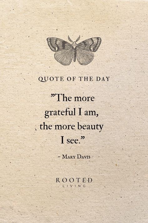 Embracing gratitude is like flipping a switch that releases serotonin, also known as the 'happy molecule,' and stimulates dopamine production —our brain's own feel-good chemical. The amazing part? Because it feels so good, we naturally crave more of it! As we consistently tune into gratitude and fire up those "circuits," they grow stronger, shaping our perspectives to spot the positives in life, over the negatives. #gratitude #happiness #mindfulness #mentalhealth #LifePurpose #lifecoach Dopamine Quotes, Dopamine Quote, Widget Wallpaper, Meditation Inspiration, Selflove Motivation, Gratitude Challenge, Scripture Quotes, Life Purpose, Pretty Words