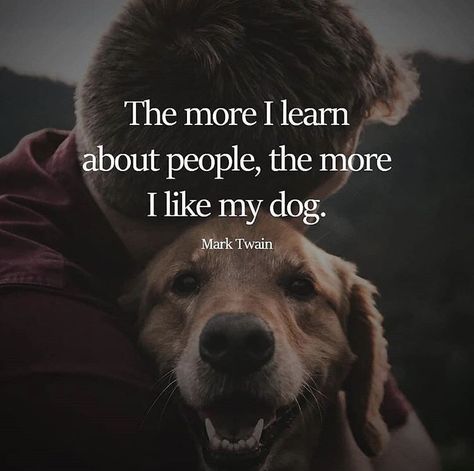 The more I learn about people, the more I like my dog. Dog Quotes Love Meaningful, Golden Retriever Quotes, Animal Love Quotes, Dog Quotes Love, I Like Dogs, Quotes Inspirational Positive, About People, Animal Jokes, Quotes Love