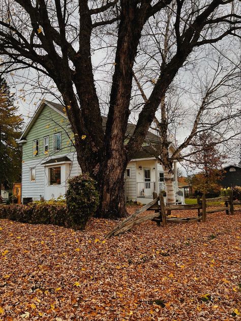 canadian autumn, fall in northern ontario, leaves falling, fall aesthetic Northern Ontario Aesthetic, Canadian Farmhouse, Ontario Aesthetic, Canadian Autumn, Canadian Aesthetic, Canada Vibes, Northern Ontario, Leaves Falling, Southern Ontario