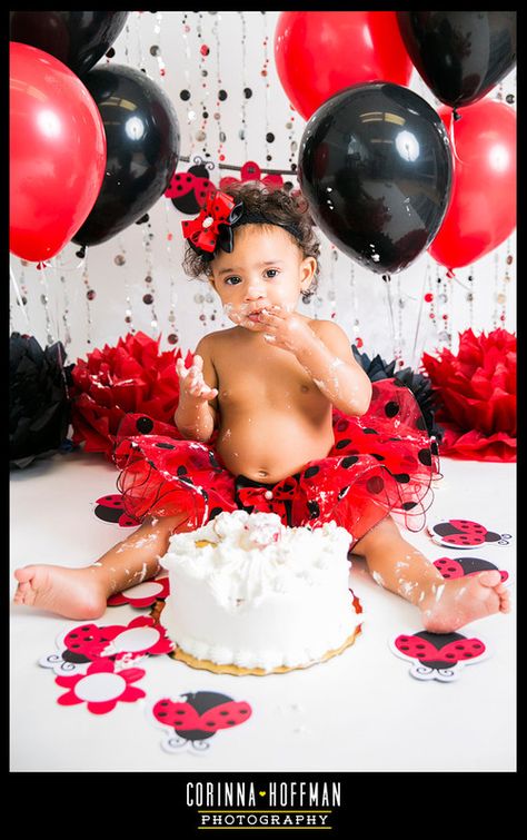 Ladybug Photoshoot, Ladybug 1st Birthday Photo Shoot, Bug Smash Cake, Outdoor Strawberry Cake Smash, Ladybug One Year Birthday, Ladybug Birthday Theme, Ladybug First Birthday Cake, Ladybug Smash Cake Ideas, Ladybird Cake