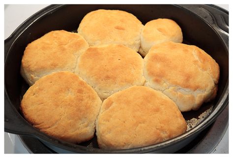 Duke's Mayo Biscuit Recipe Biscuits With Mayonnaise, Mayonnaise Biscuits Simple, Mayonaise Biscuits Recipe, Mayo Biscuits, Mayonaise Biscuits, Mayonnaise Biscuits, Dukes Mayo, Easy Biscuits, Biscuits Recipes