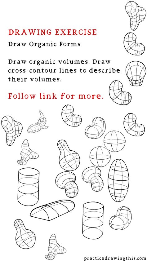 Drawing Exercises - Draw organic volumes. Draw cross-contour lines to describe their volumes. Volume Drawing Shape, Shapes Drawing Sketches, Form Drawing Exercises, Basic Fundamentals Of Drawing, Drawing Exercises Shapes, Draw Organic Forms, Shape Study Drawing, Basic Drawing Exercises, Shape Exercise Drawing