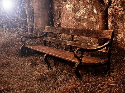 Bench overgrown Bench Wallpaper, Old Benches, Cozy Patio, Rustic Bench, Old Street, Old Furniture, Park Bench, Yard Art, Traditional Art