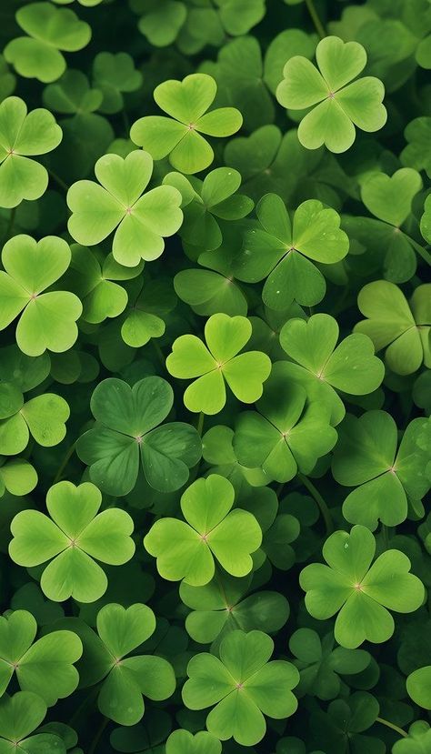 Clover Background, Green Nature Wallpaper, St Patricks Day Wallpaper, Good Luck Clover, Photo Collage Design, Flowers Photography Wallpaper, Beautiful Art Paintings, Lovely Flowers Wallpaper, Cool Backgrounds Wallpapers