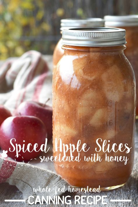 Canned Apple Slices, Spiced Apples Recipe, Apple Recipes For Canning, Apple Slice Recipe, Refrigerator Pickle Recipes, Canning Apples, Canning Fruit, Home Canning Recipes, Canning Recipe