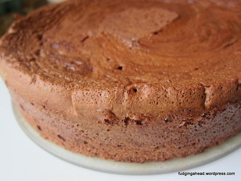 Tartine’s Chocolate Soufflé Cake | fudgingahead Chocolate Soufflé Cake, Chocolate Souffle Cake, Passover Desserts, Single Layer Cakes, Flourless Cake, Chocolate Souffle, Homemade Goodies, Passover Recipes, Layer Cakes