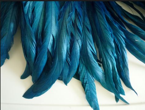 Lisa Mende Design: The Pros Share Their Favorite 15 'Peacock Blue" Paint Colors Peacock Blue Paint, Ravenclaw Tower, Peacock Blue Bedroom, Party Palette, Pjo Aesthetic, Blue Bedrooms, General Finishes Milk Paint, Blue Feathers, Color Peacock